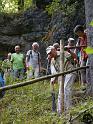 Kellerwald (20)